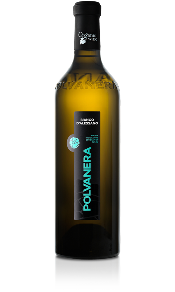 BiancoDalessano copia