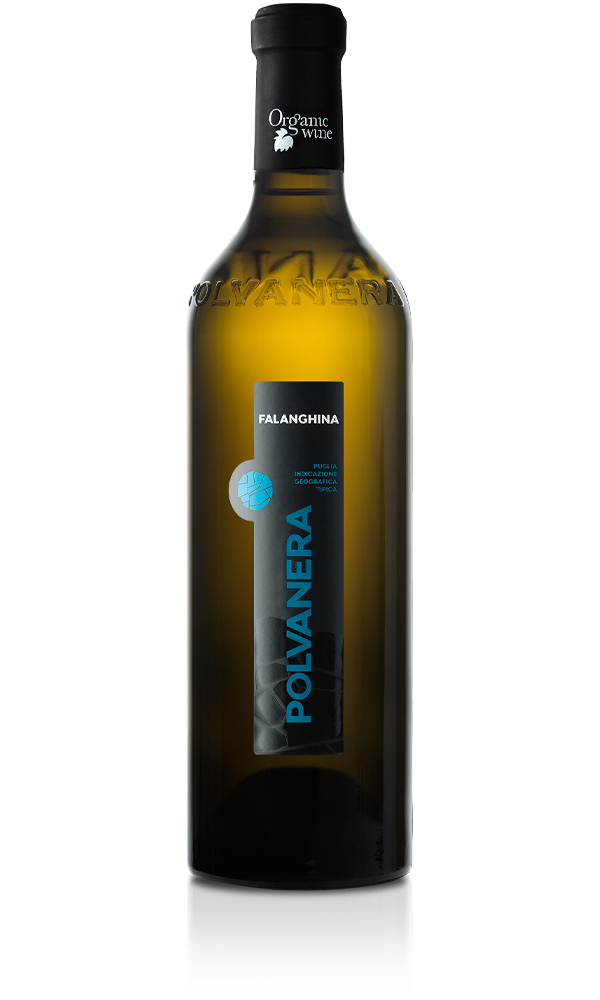 Falanghina