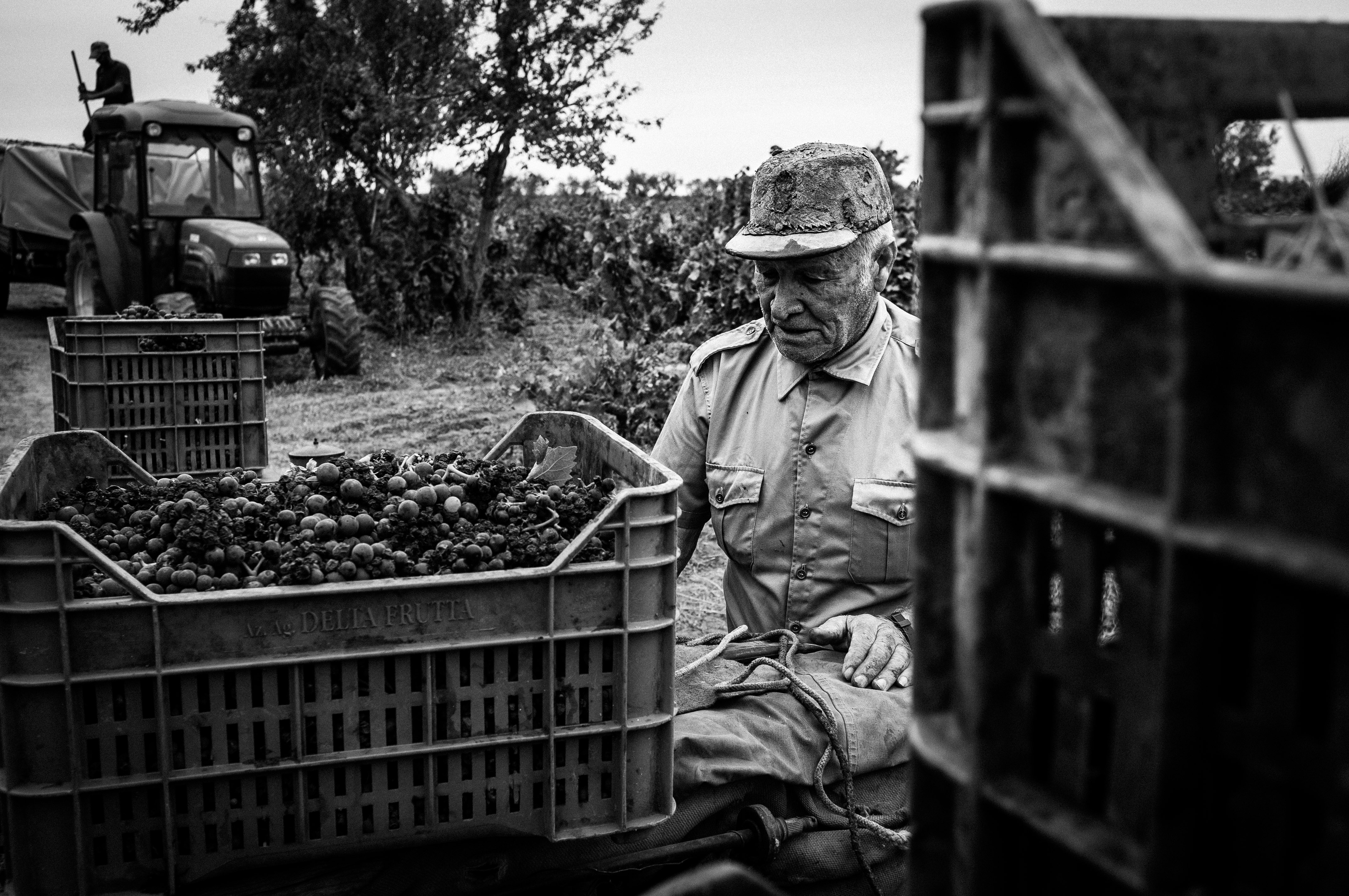 Harvest_02