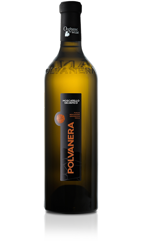Moscatello